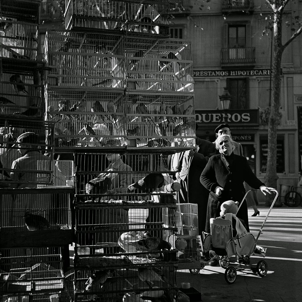 Vente d'oiseaux sur la Rambla de Barcelone dans les années 50.