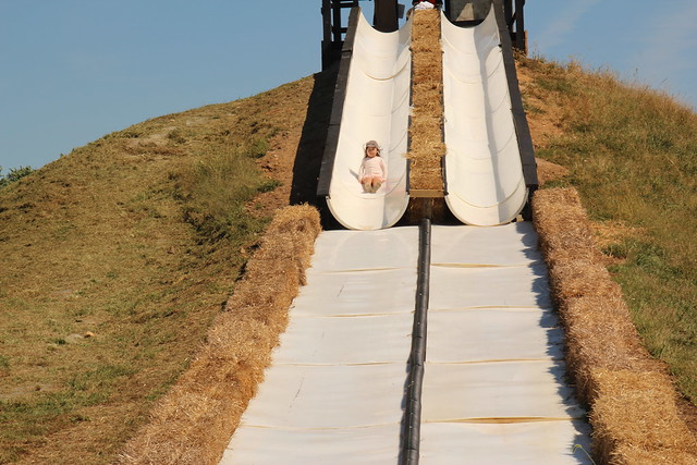 Mio kept going on the slide!