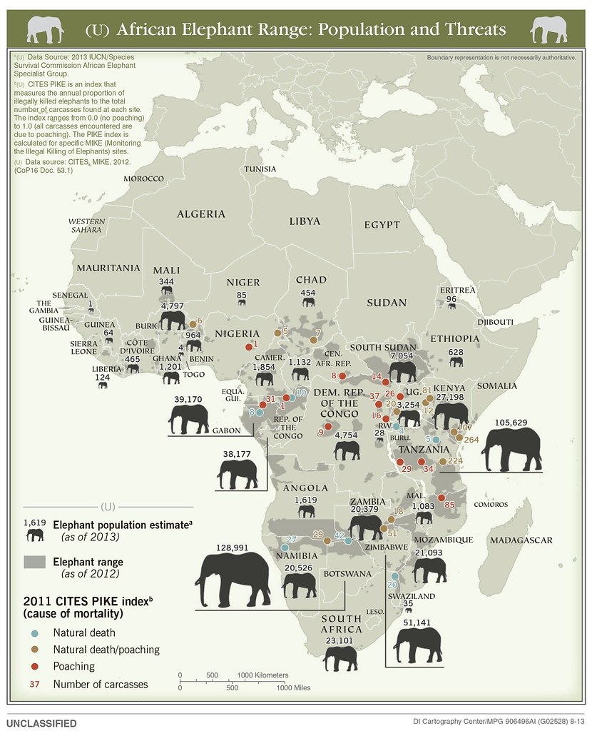 2013 Elephant population