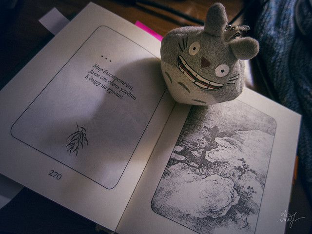 Day #286: totoro dedicated the evening to Japanese poetry