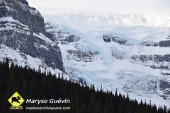 Promenade des glaciers Jasper