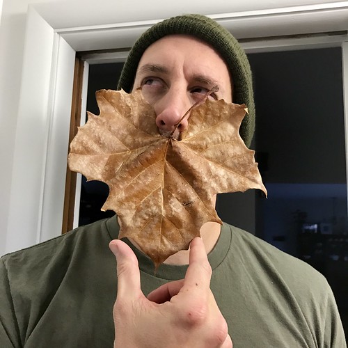 leaf beard