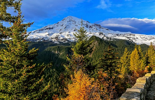 Autumn in Mt. Rainier National Park