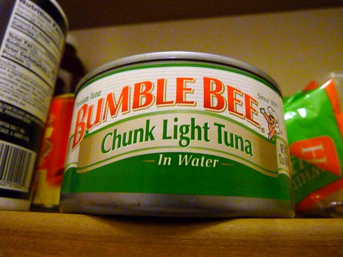Tuna Fish in a Can