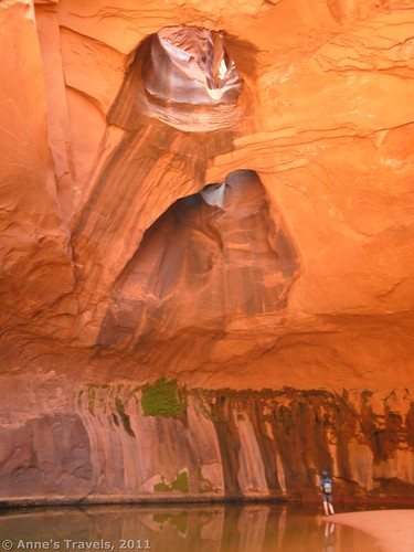 Golden Cathedral in Grand Staircase-Escalante, Utah