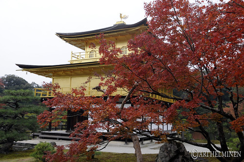 Kinkakuji-temple 鹿苑寺金閣
