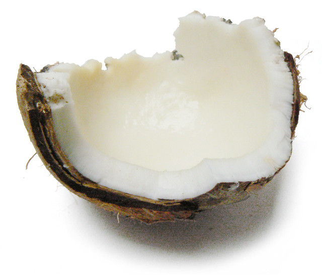 Coconut (Cocos nucifera)