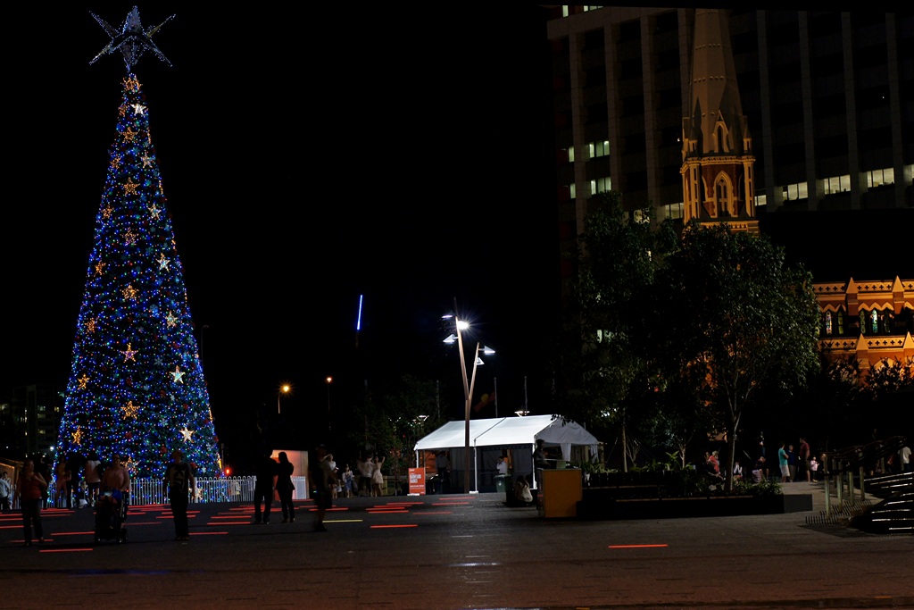 Christmas tree Brisbane