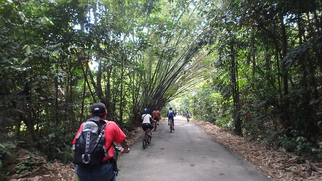 Cycling at Pulau Ubin