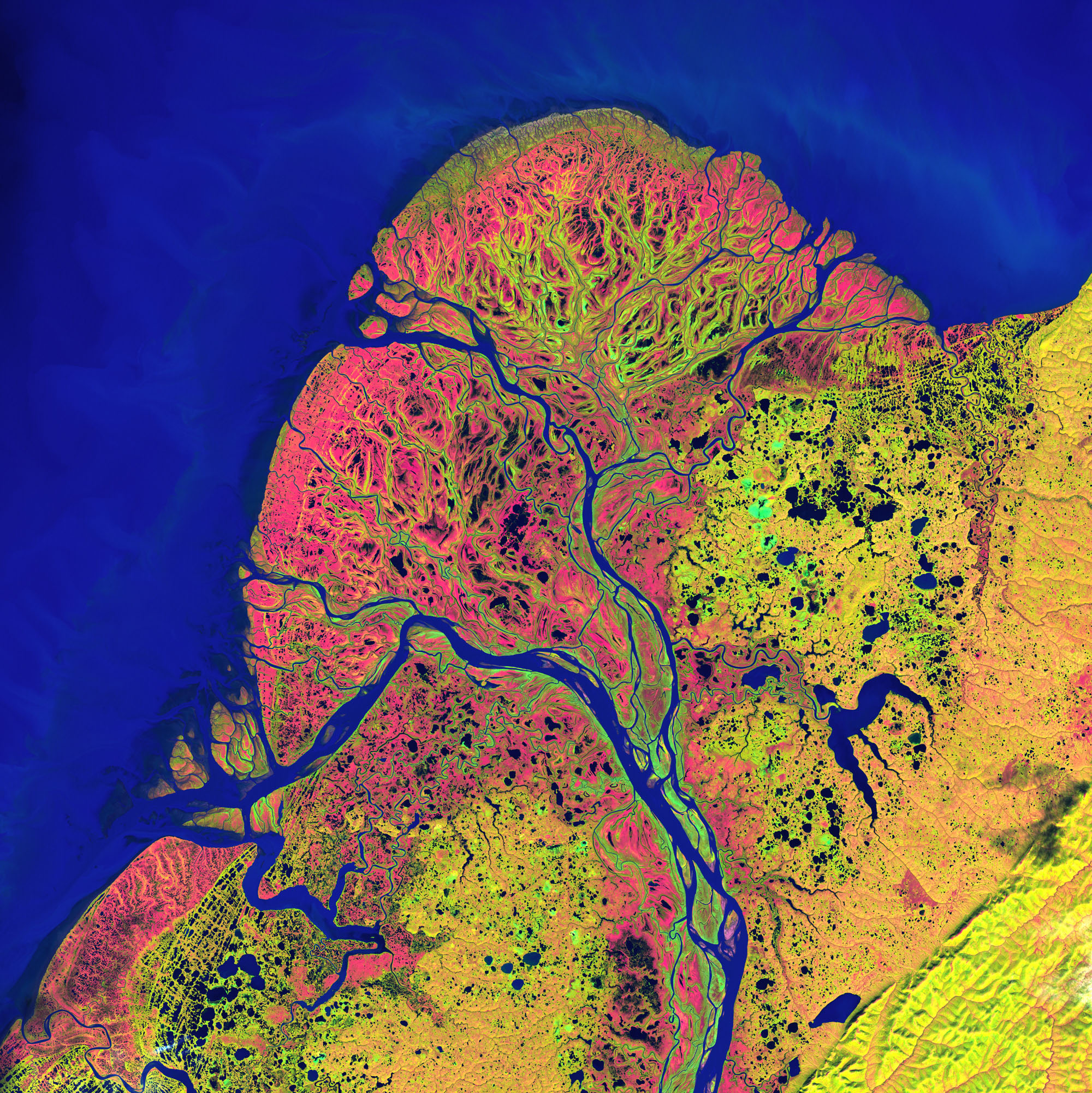 Дельта реки Юкон со спутника