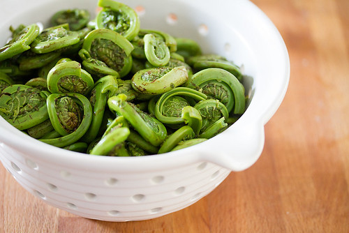 Cooked Fiddleheads