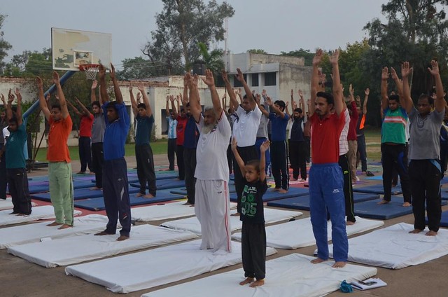 AMU Faculty members, students and staff performing Yoga (2).JPG
