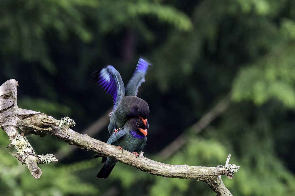 DSC_2079-Edit