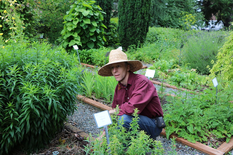 Medicinal Herb Garden