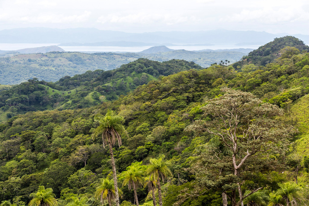 Reserva de Monteverde