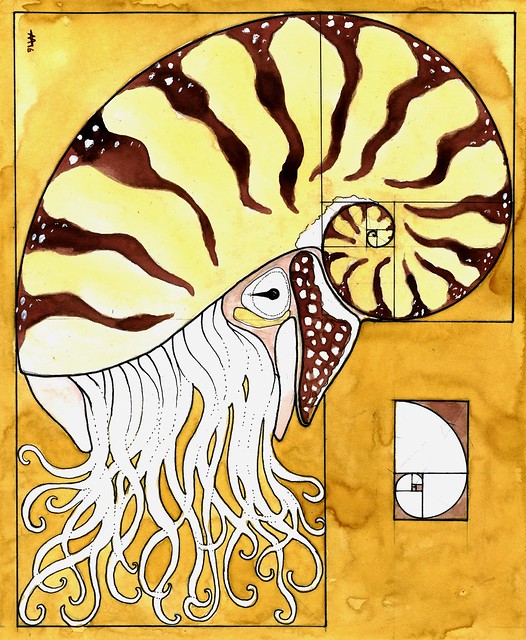 Golden Nautilus
