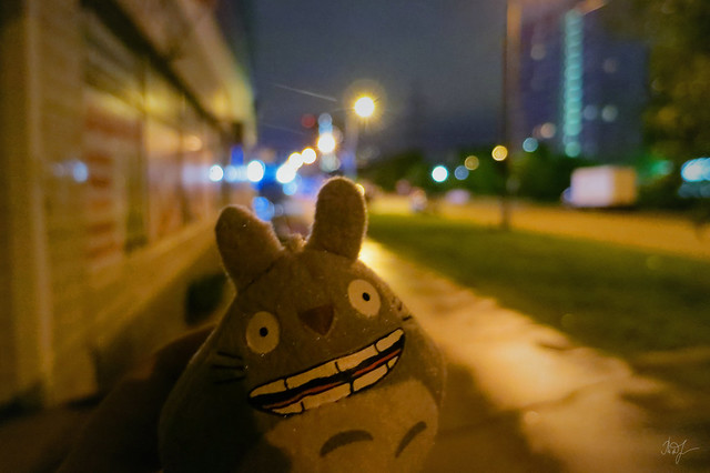 Day #139: totoro walks the city at night
