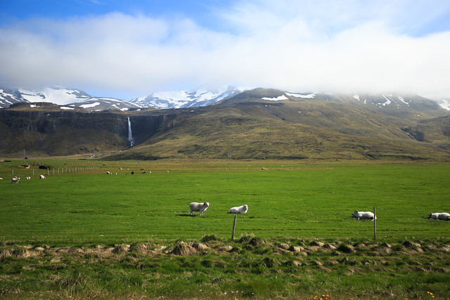 Snæfellsnes Peninsula - Iceland