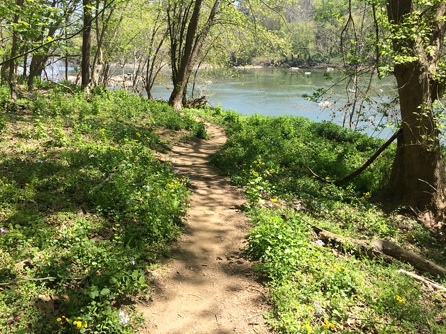 Billy Goat Trail, Section C