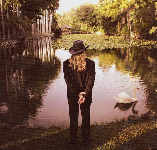 swan