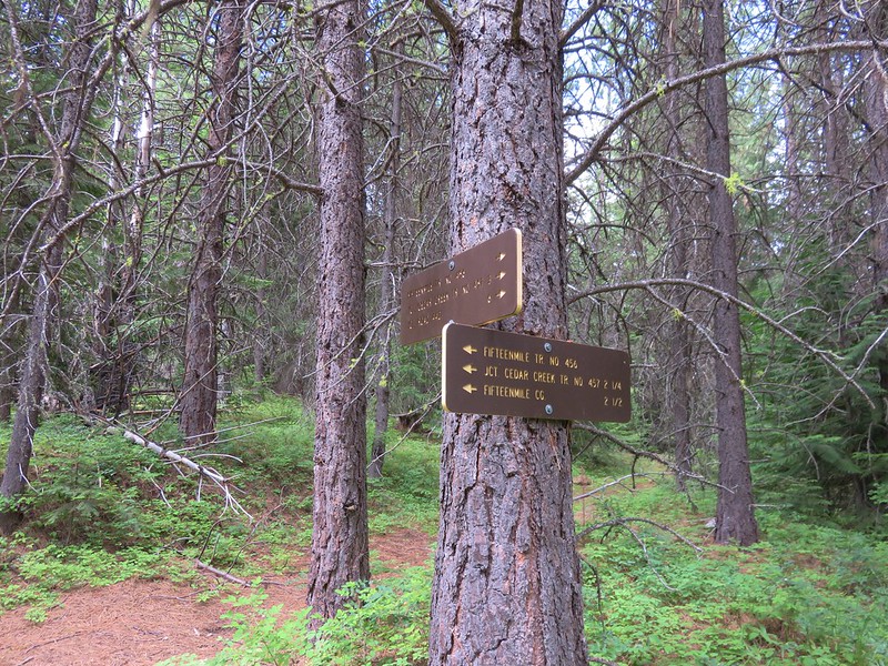 Trail junction along the Fifteenmile Trail