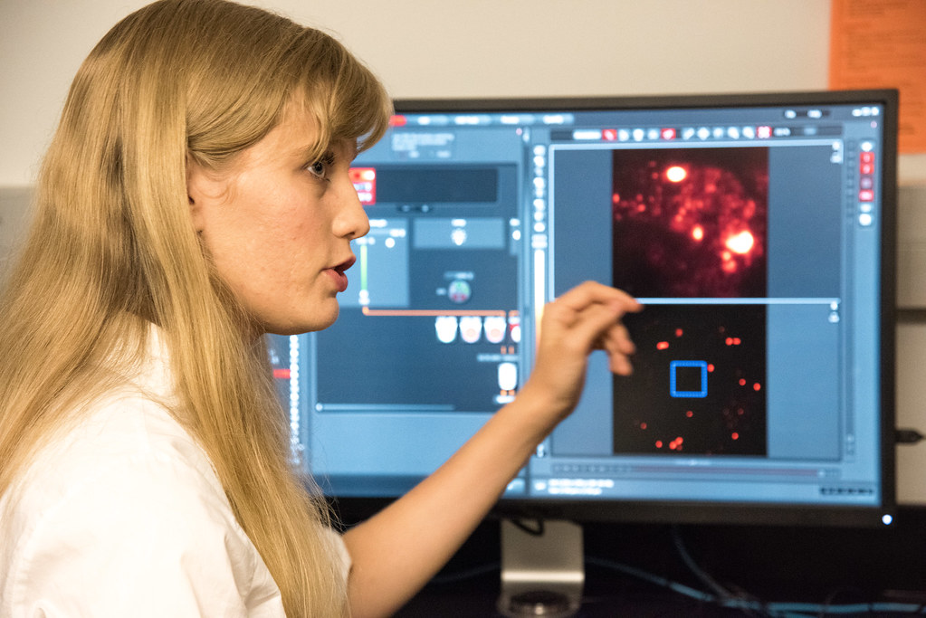 Jennifer Wolf, a first year grad student working in Stefan Sarafianos' lab, explains an image of hepatitis C infected liver cancer cells captured by a super-resolution 3-D microscope housed at MU's Molecular Cytology Core. | photo by Roger Meissen, Bond LSC