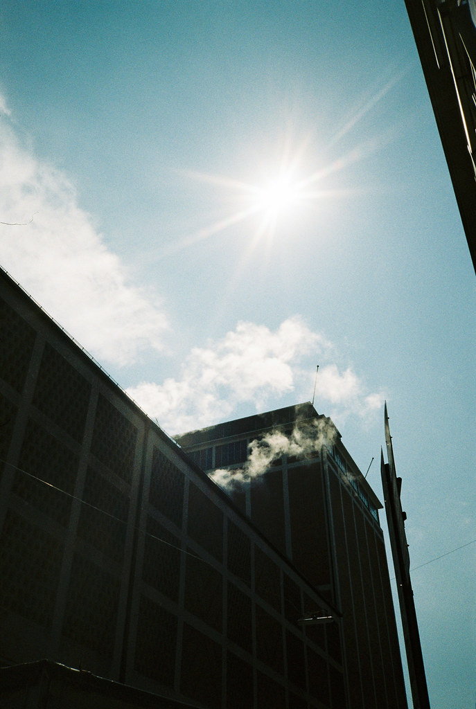 Amélie Niederbuchner-50, The Curly Head, thecurlyhead, Fotografie, analog, photography, film photography, visual diary, 35mm