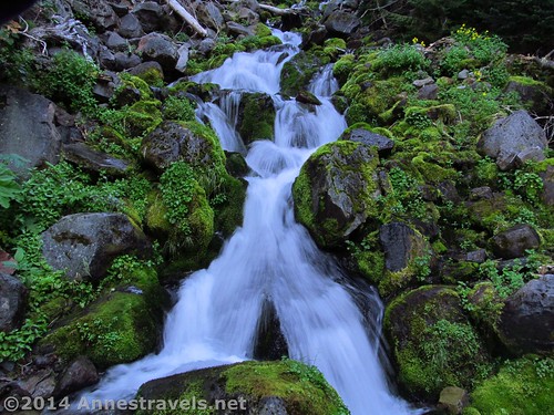 Waterfalls along the Spray Park Trail, Mt. Rainier National Park, Washington