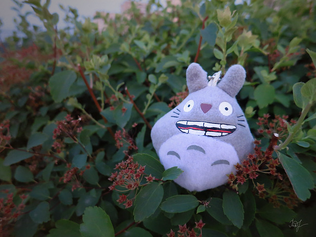 Day #179: totoro is indifferent to the impermanence of the world