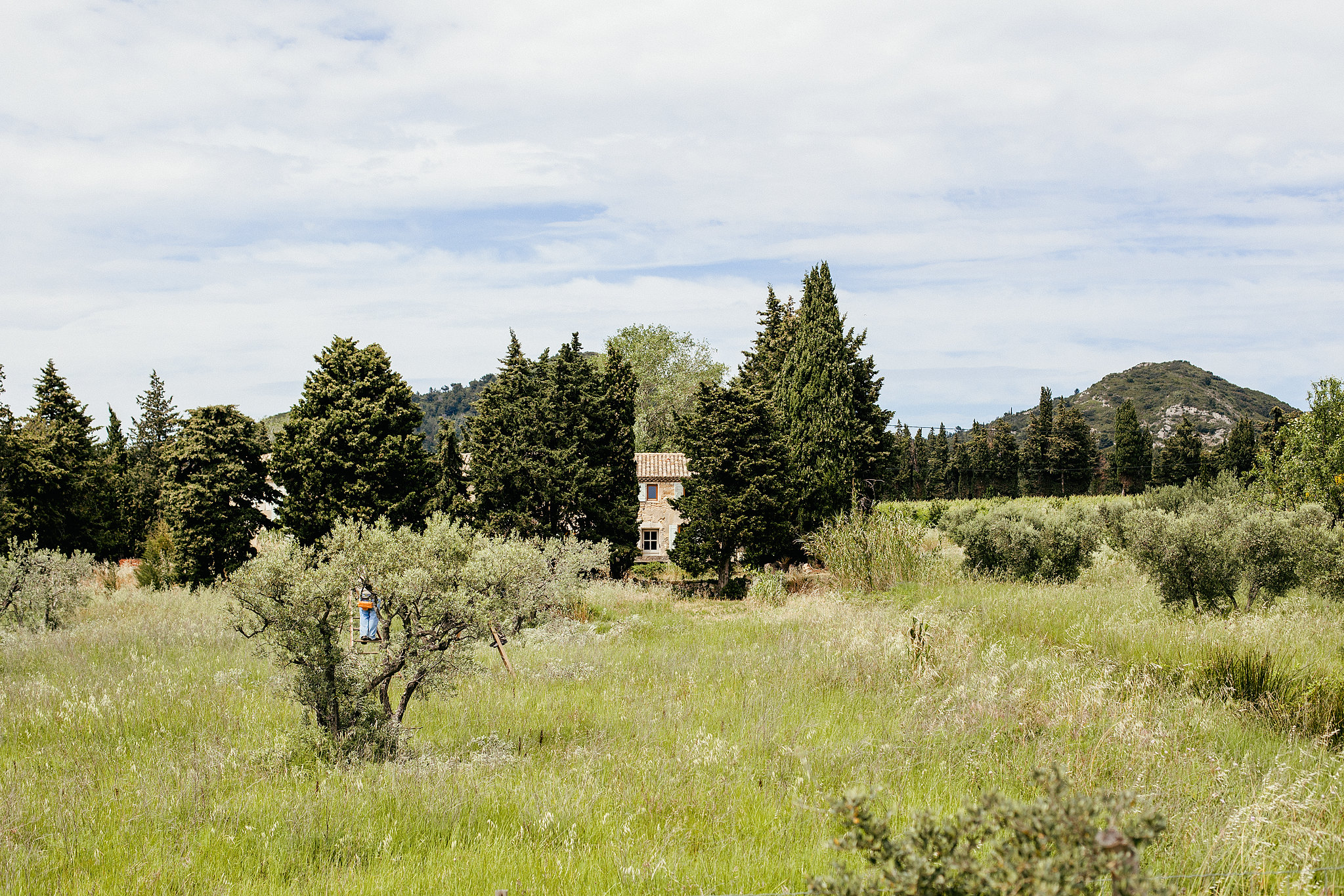 Domaine de Manville, La Provence