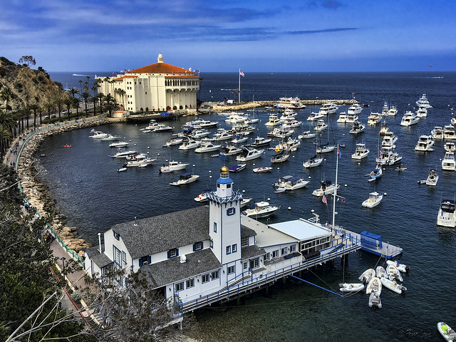 View of Avalon Harbor and Casino