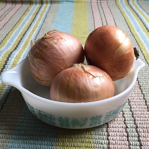 Vadalia onions take me back to a funny story from junior high. #onbloglatertoday