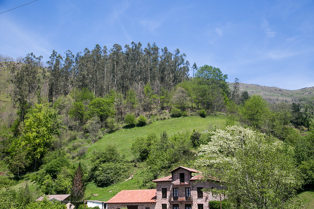 Carmona, Cantabria