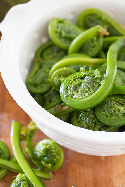 Fresh Fiddleheads