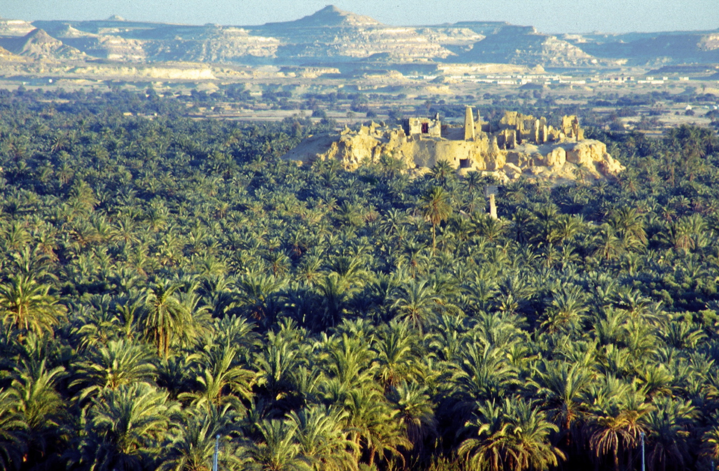واحة سيوة جنة مصرية وسط الصحراء ووجهة سياحية فريدة الخليج