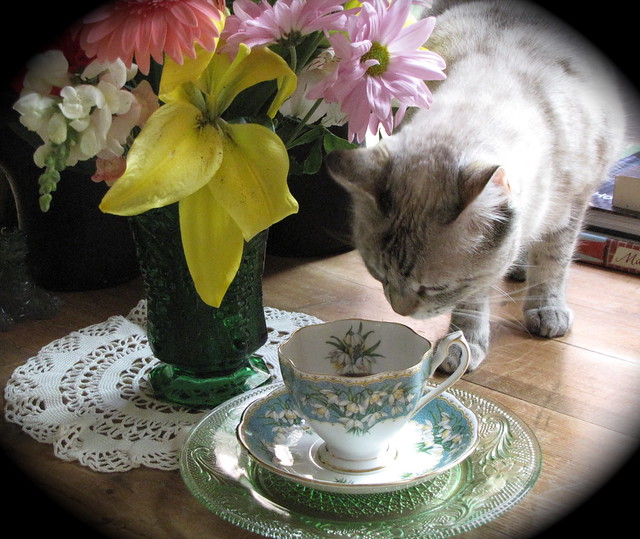 Tea Time with Mina