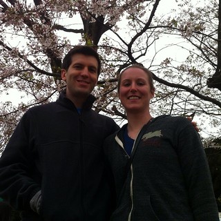 Hanami: viewing the cherry blossoms