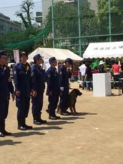 警察犬 - えびすふれあい広場2015