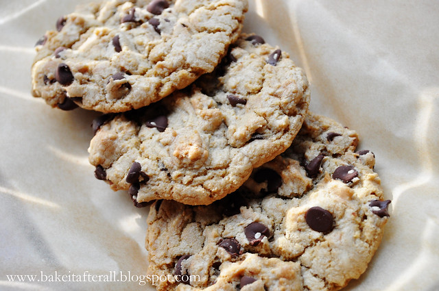 DSC_0599_5_ed_ThickChewyChocolateChipCookies