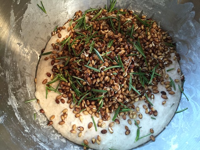 Mixing sprouted barley / Rosemary