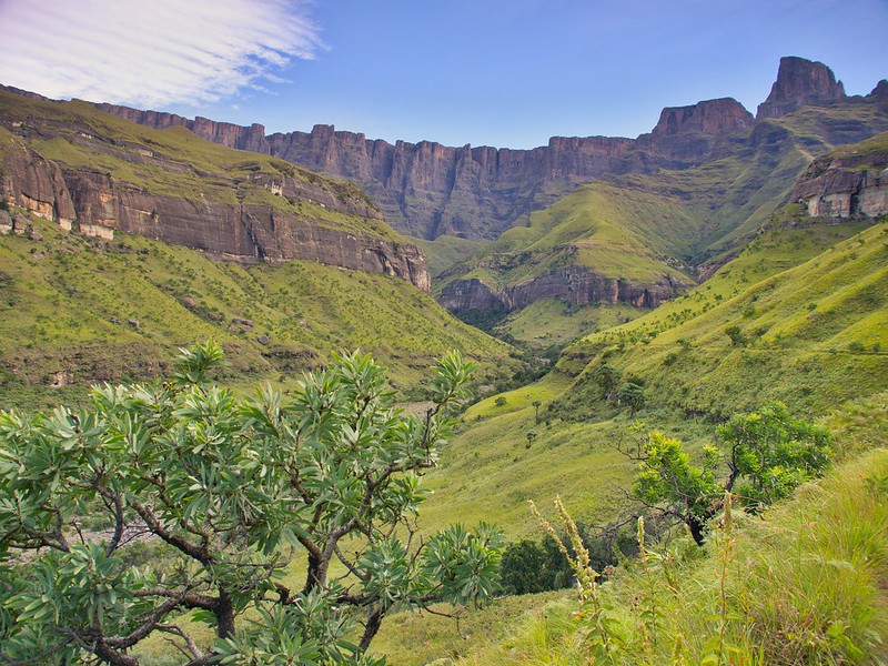 Por el norte de SUDÁFRICA. Montañas, playas, fauna y sus gentes - Blogs de Sudáfrica - Drakensberg: Royal Natal NP. La belleza del Tugela Gorge Trail (20)