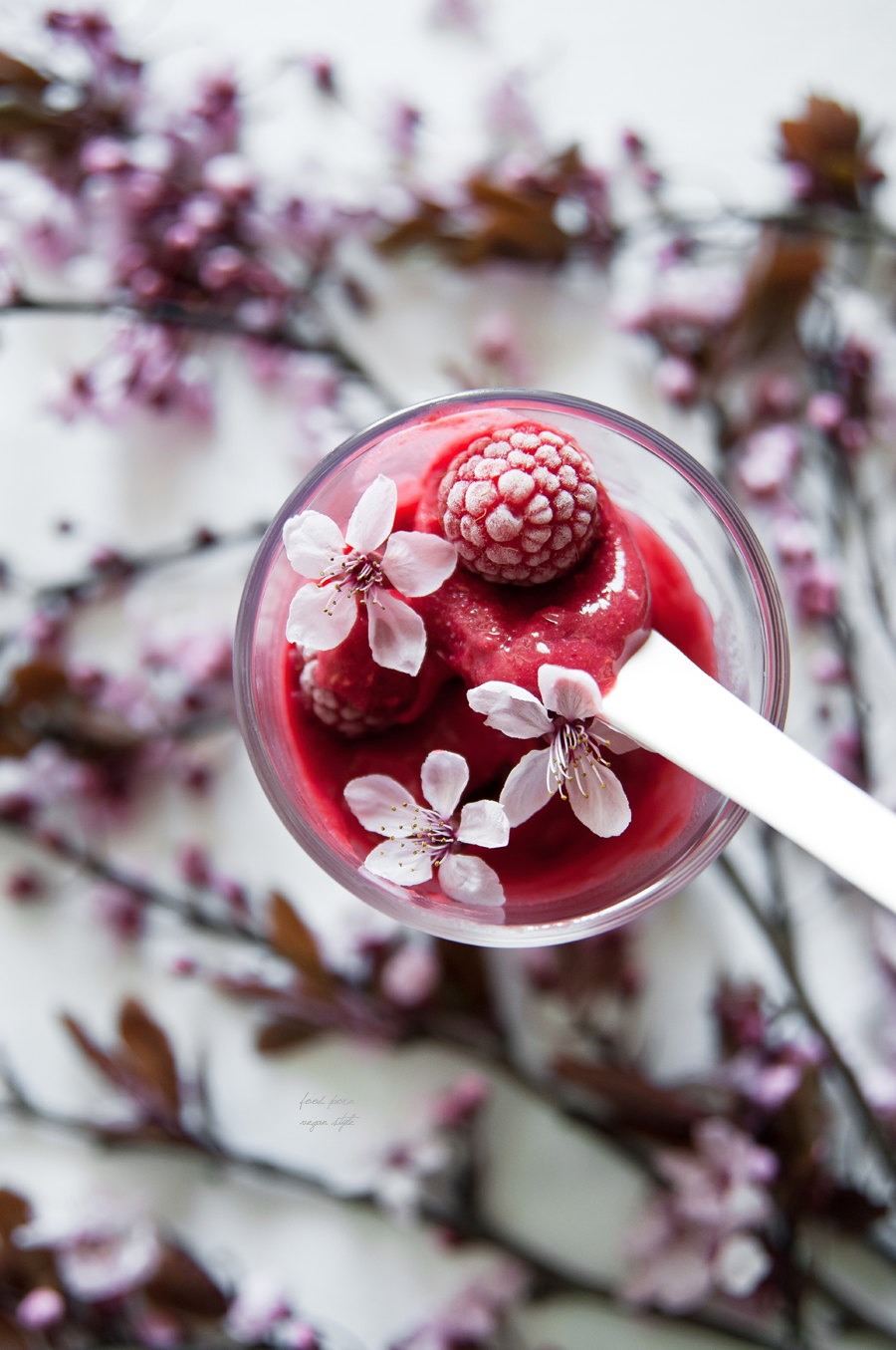 Raspberry ice-cream (sorbet)