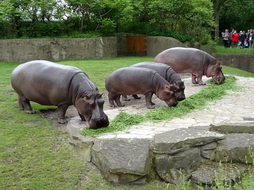 Zoo Berlin