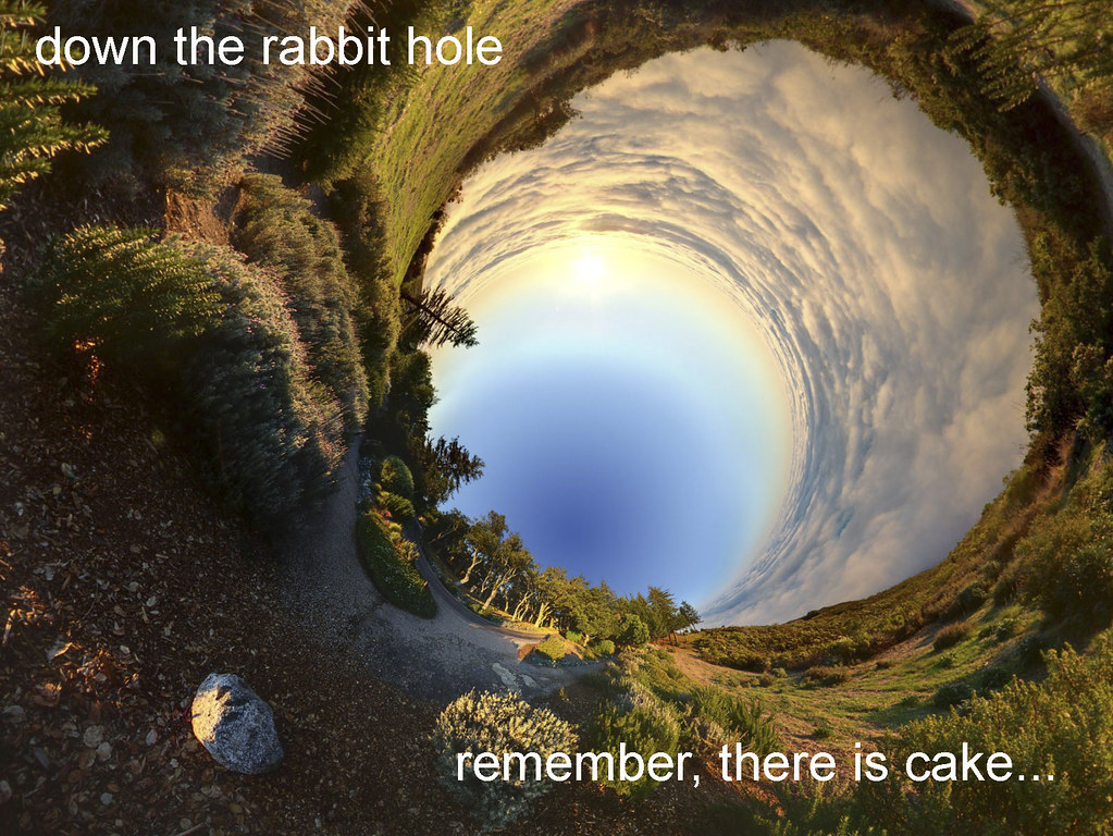 down the rabbit hole graphic