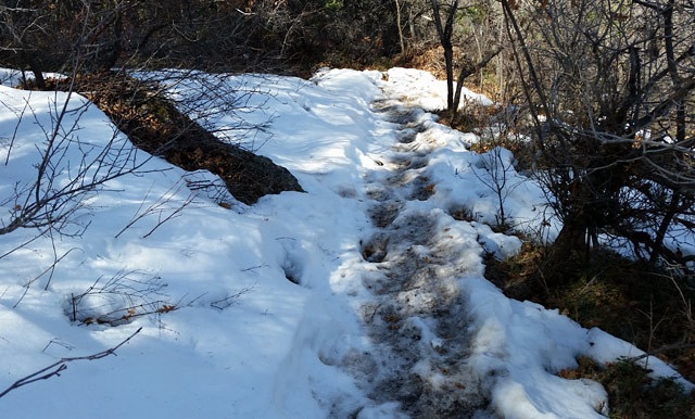 snowy-trail