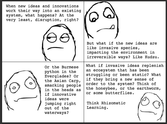 Invasive Ideas
