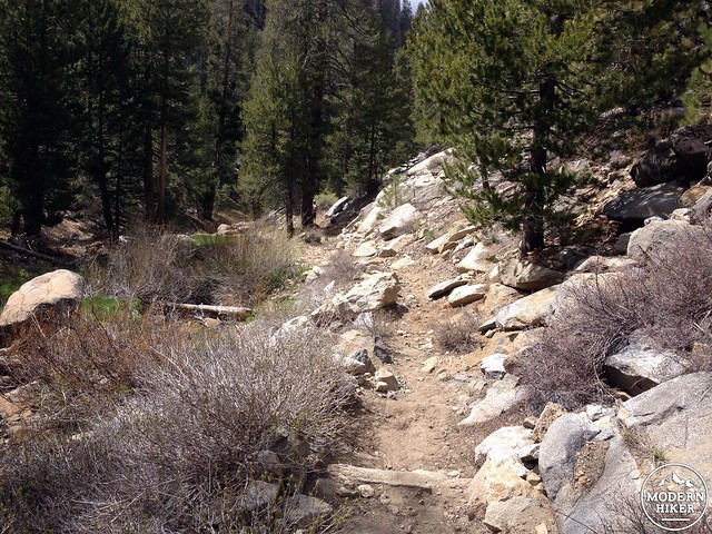 Ninemile Creek Trail