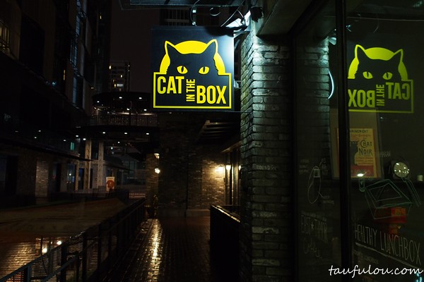 cat in a box (8)