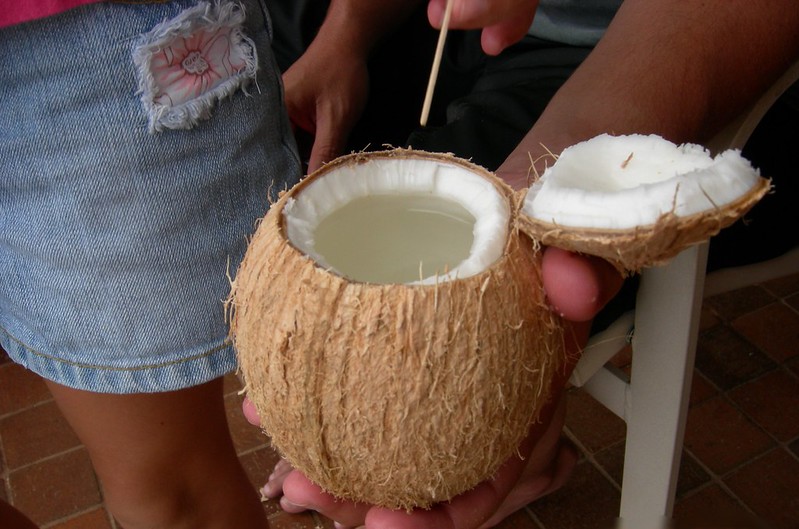 We Tried a Coconut