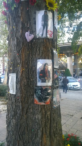 Michael Jackson Memorial Tree, Budapest